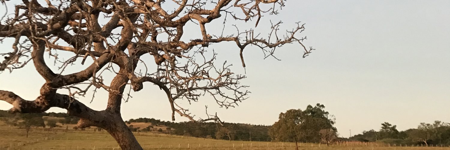 sandrodutra's profile banner image