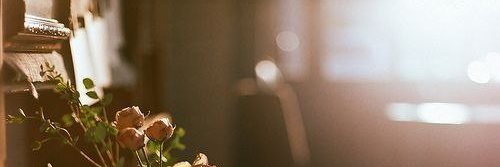 sooha330's profile banner image