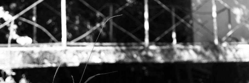 lopV's profile banner image
