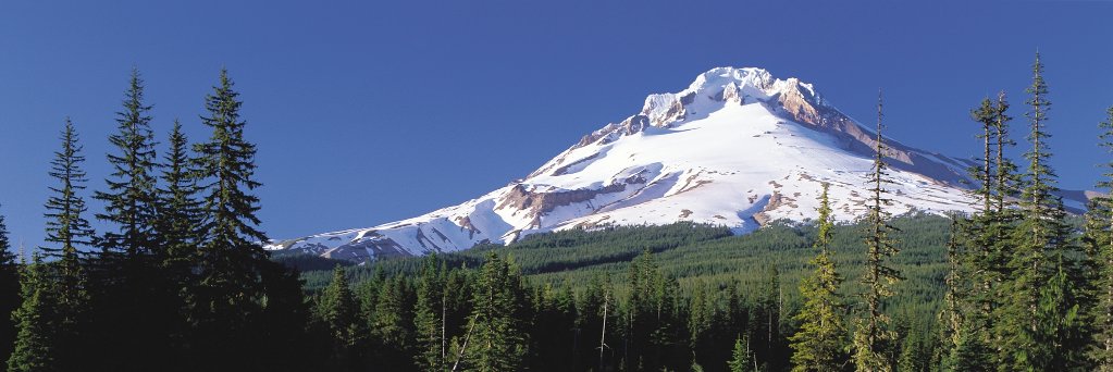 TDCascadia's profile banner image