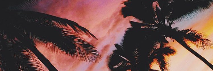 LisaLarsson8's profile banner image