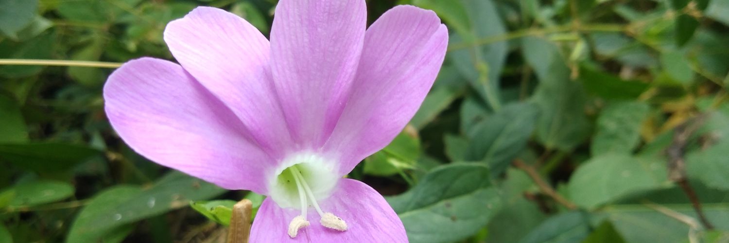 arvindkumarhada's profile banner image