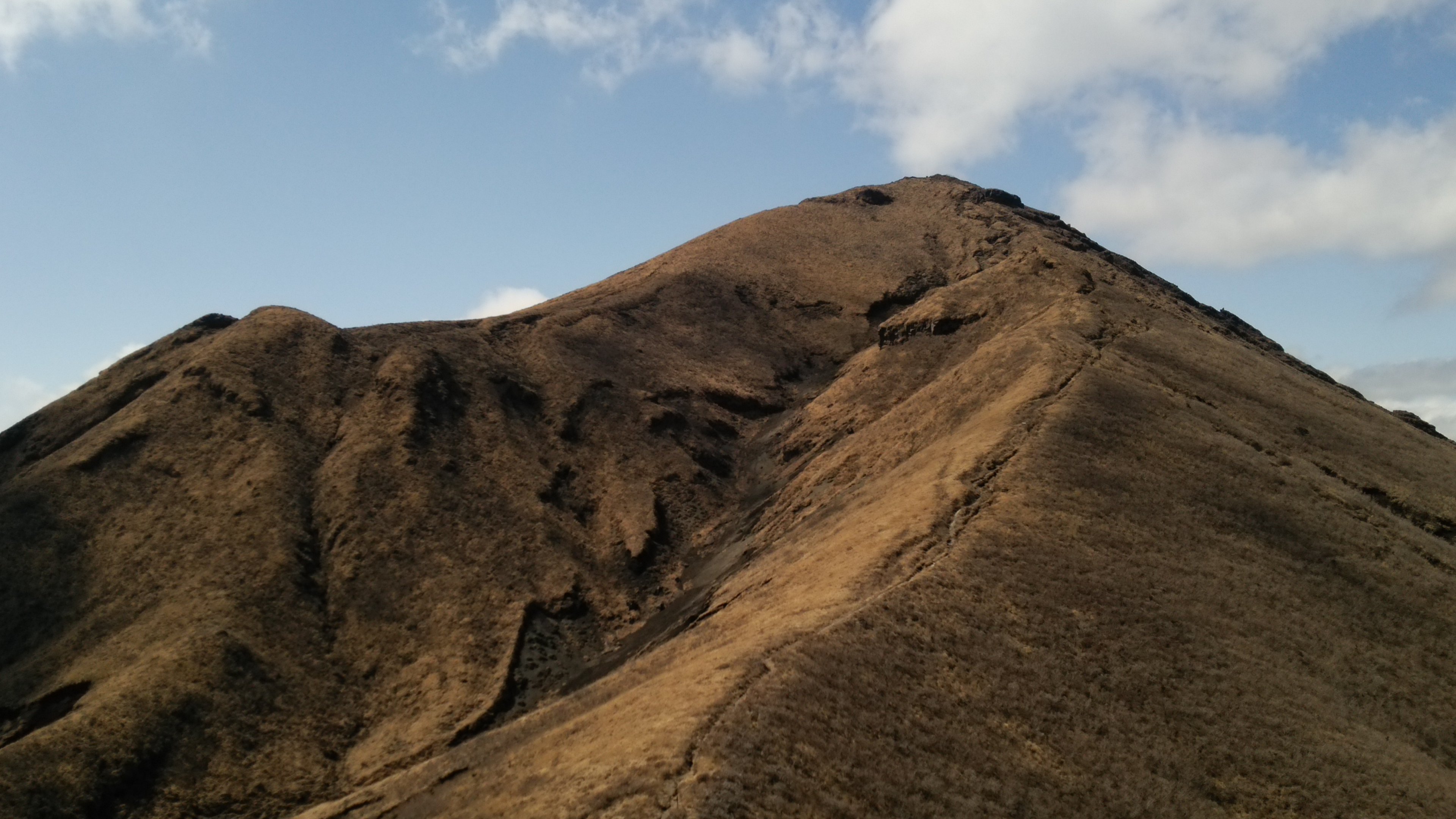 ヨパンクライプ banner