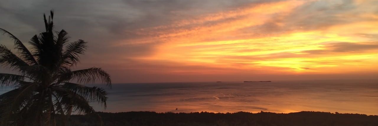 Variant banner