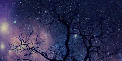 Sloteazzy_'s profile banner image