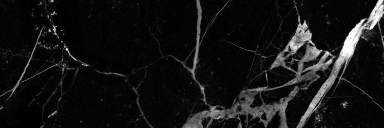 vangallo's profile banner image