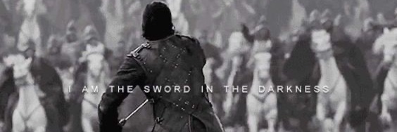 Maj. Stark 🐺 banner