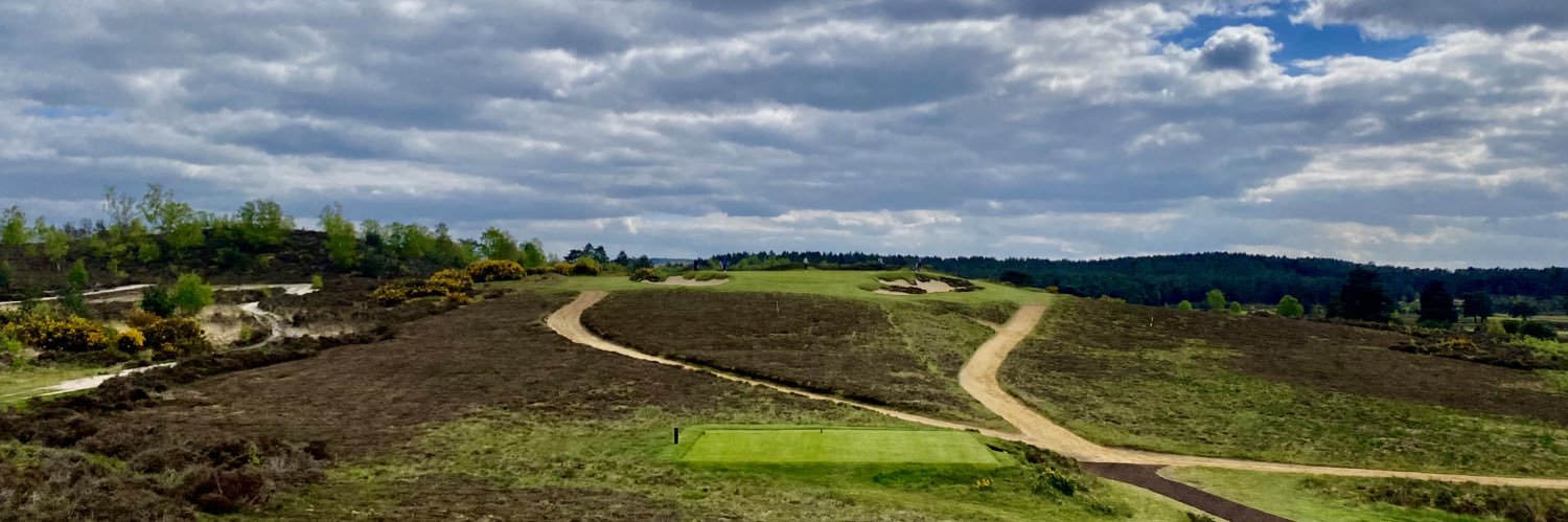 Dorset Golfer banner
