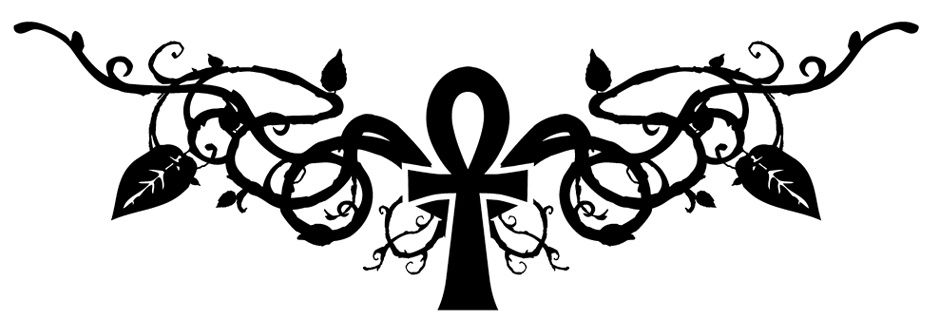 1stladyBD's profile banner image