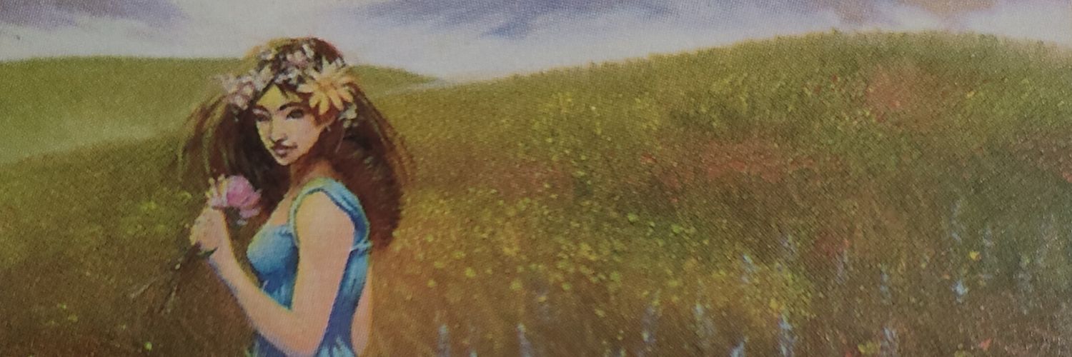 ｹｰﾀﾛｰ banner