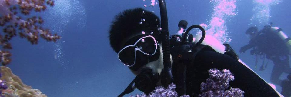 bigbear1398's profile banner image