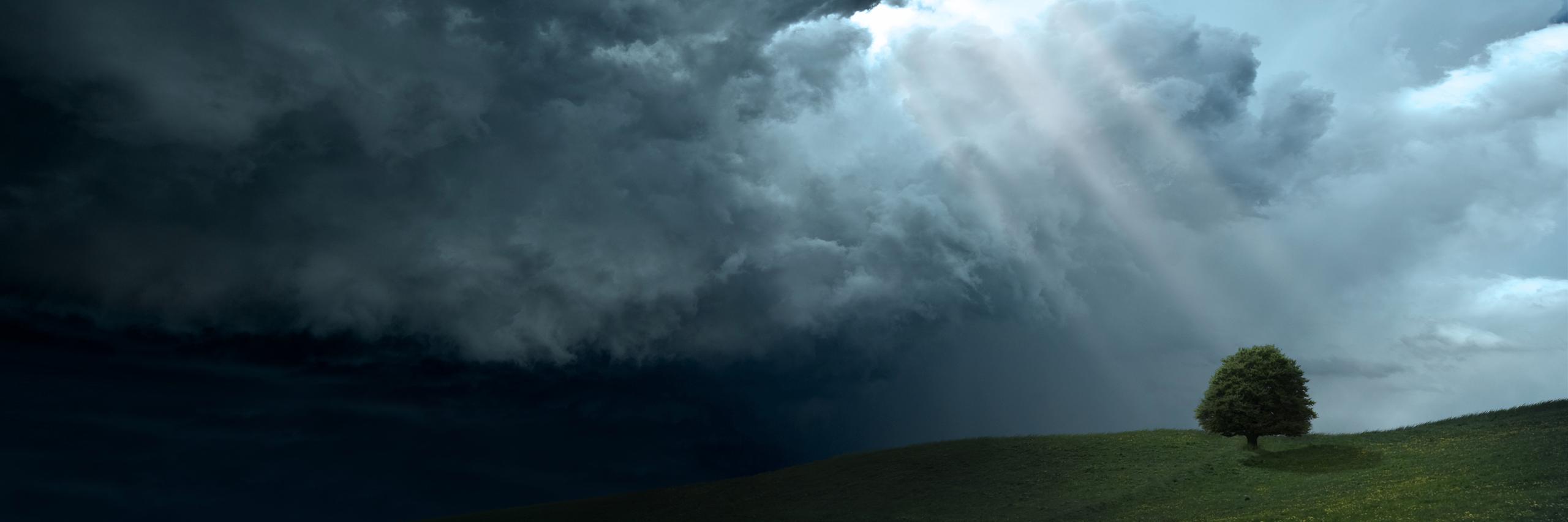 albertchancy's profile banner image