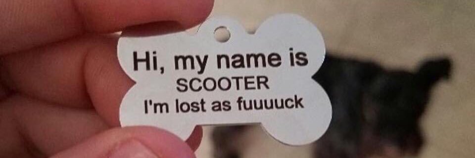 _dcoot's profile banner image