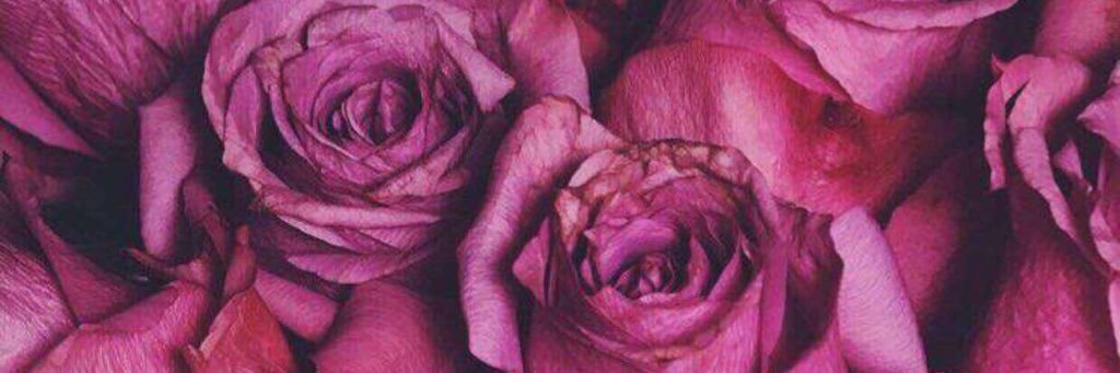 Halaooo123's profile banner image