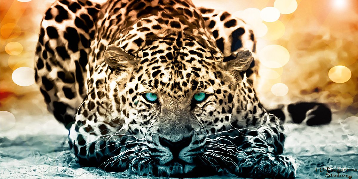 jantexred's profile banner image
