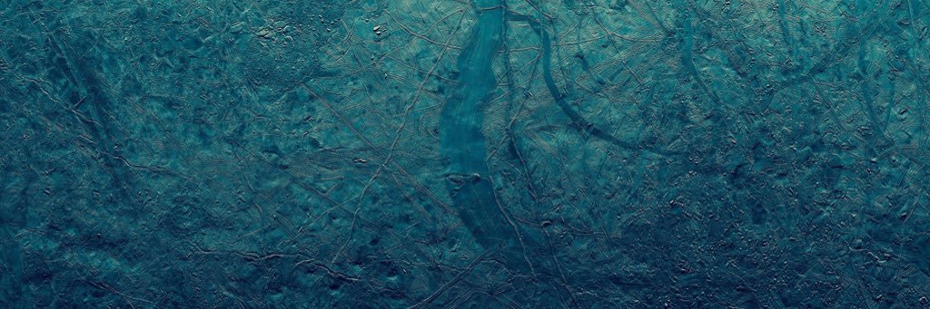 3 ferrets in a lab coat banner