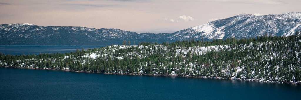 birdys91's profile banner image