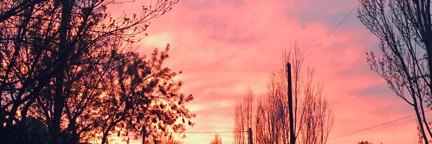 LuuLefevre's profile banner image