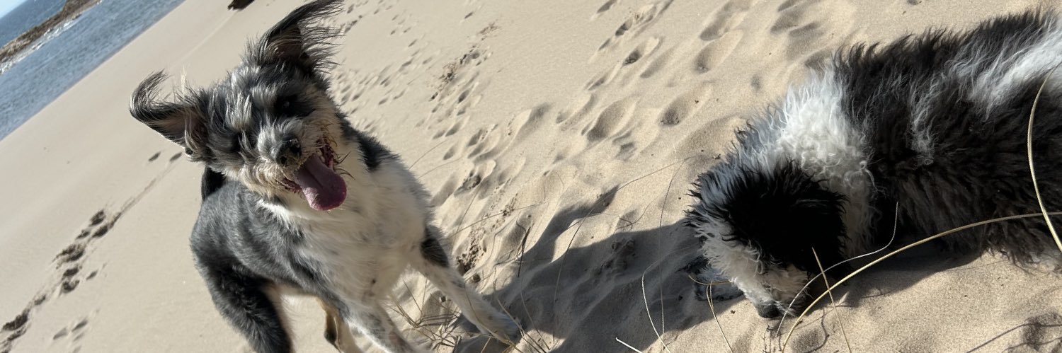 0107milz's profile banner image