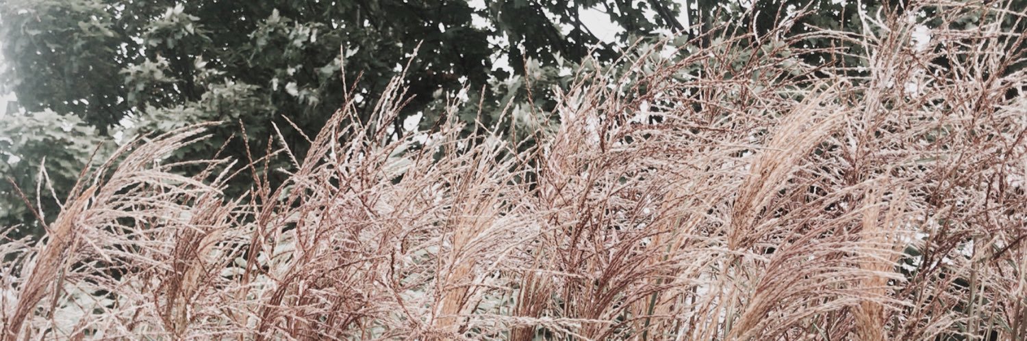 brookegrady1's profile banner image