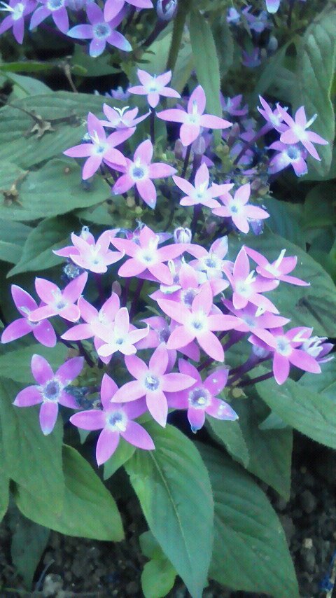 ちっきぃ🫠 banner