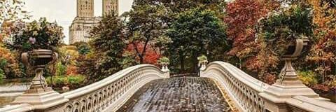 salma_elshaf3y's profile banner image