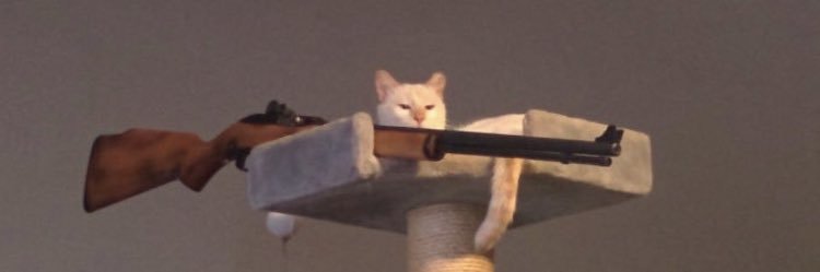 NickBroderickk's profile banner image