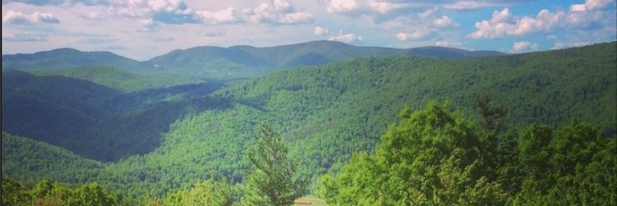 Bryant Carson banner