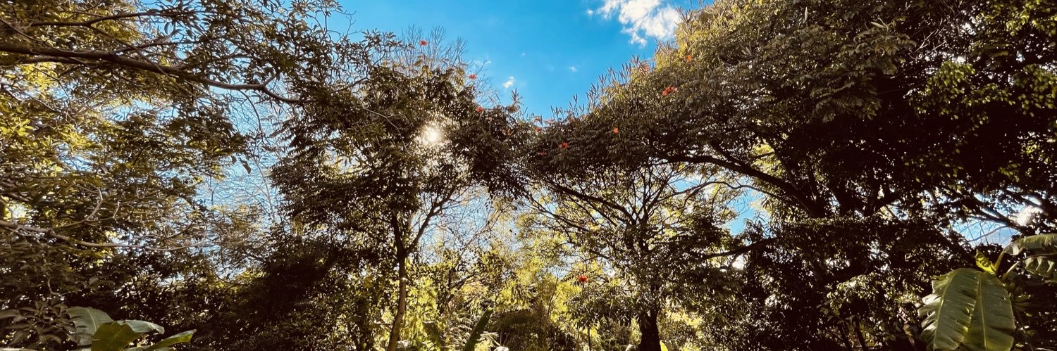 NachoMesa's profile banner image
