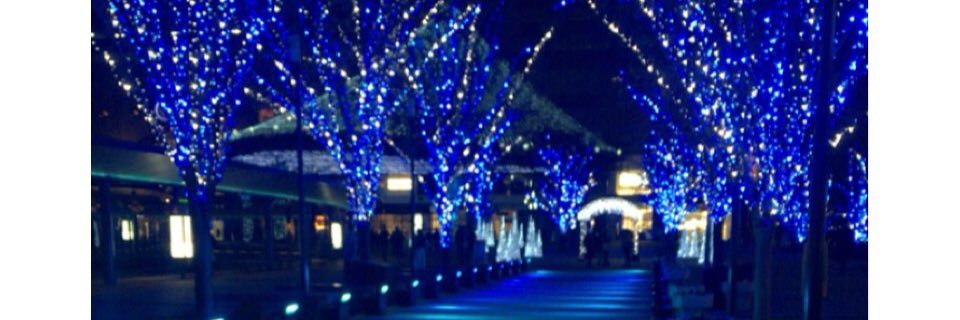 13426927_2's profile banner image