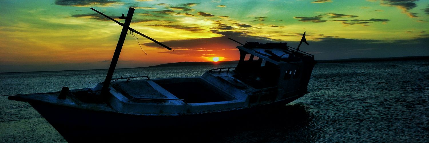 oeisinsing's profile banner image