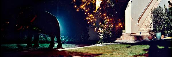 NativeLights's profile banner image