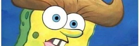 CampDavis16's profile banner image