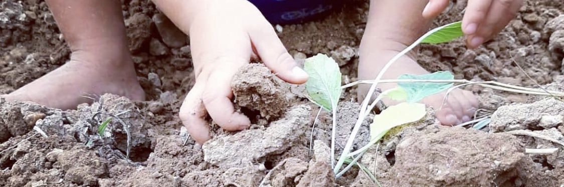 Escoleta El Trenet Cooperativa banner