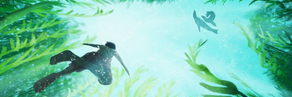 naif_dc's profile banner image
