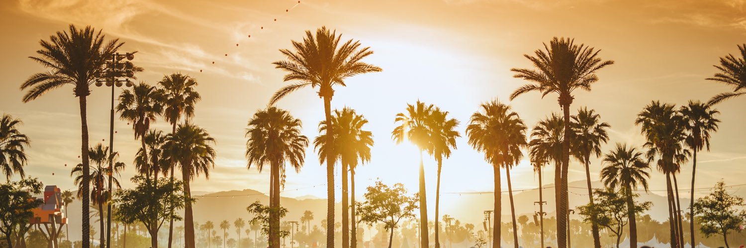 brippler's profile banner image