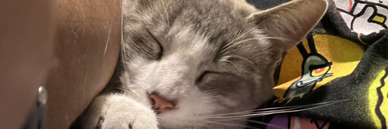 ericillo_'s profile banner image
