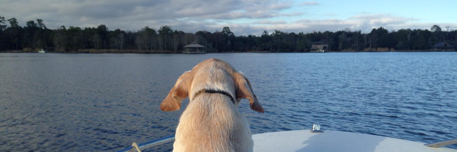 TyKing_'s profile banner image