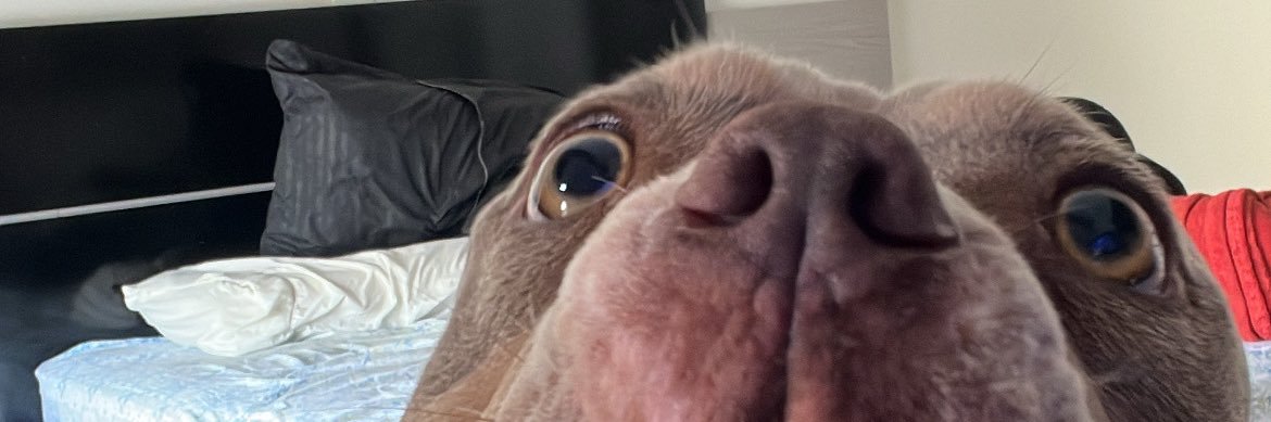 fachim21's profile banner image