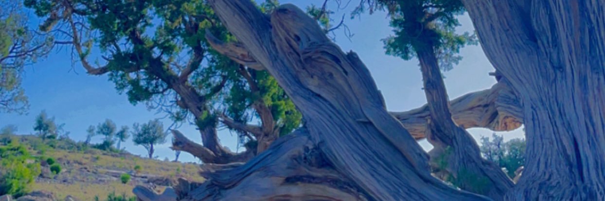 🔻الحسن الحديدي🔻 banner