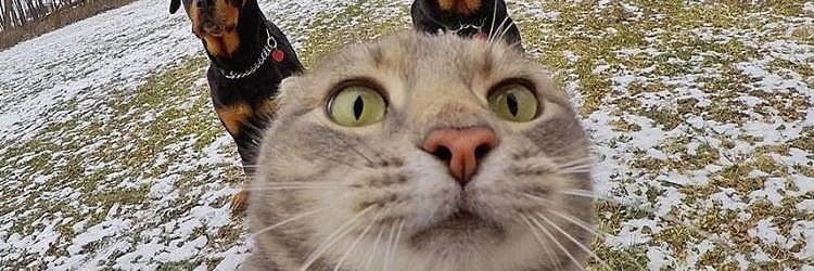SyariffudinH's profile banner image