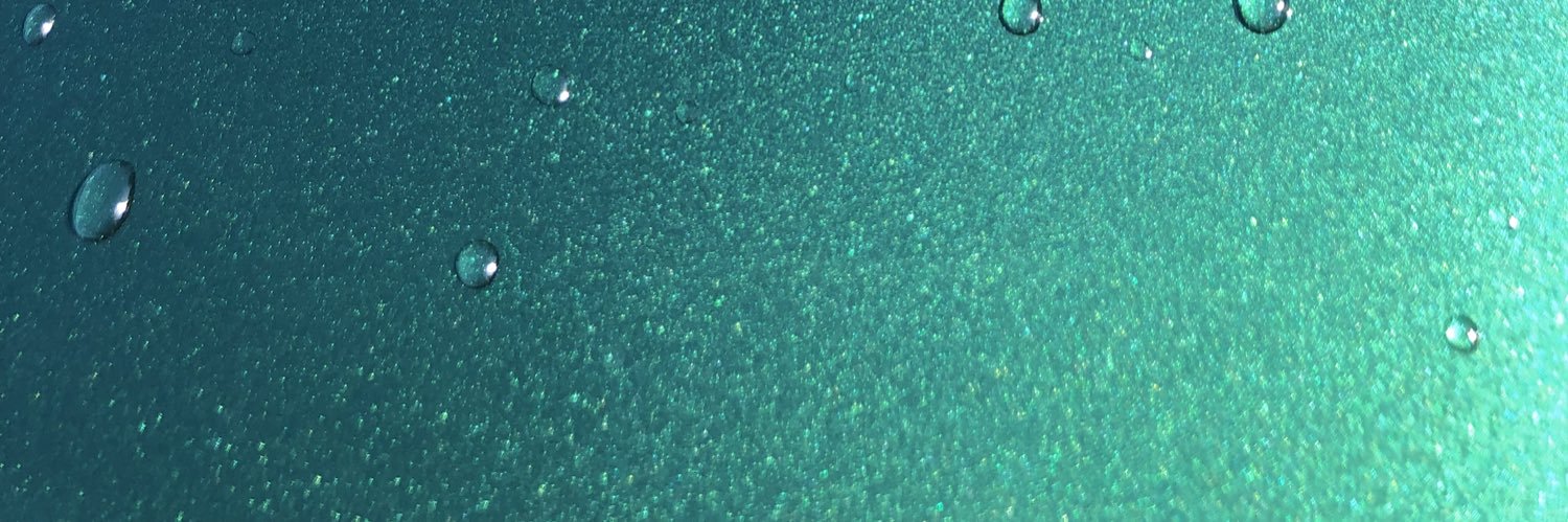 Prorastomus's profile banner image