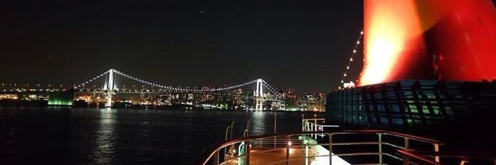 antipingu's profile banner image