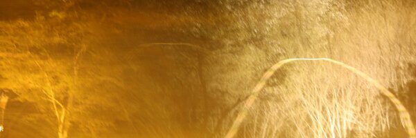 PatrickPilarski Profile Banner