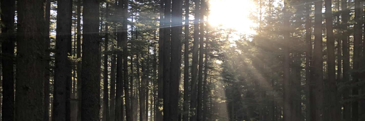faaatimaaaaaaaa's profile banner image