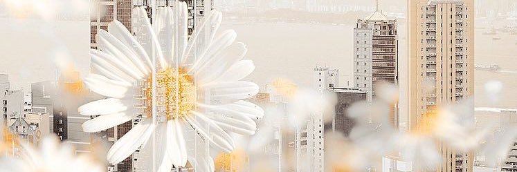 hrdlytwt's profile banner image