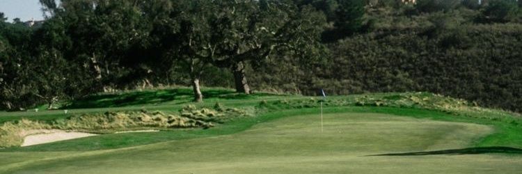 AndrewRahardja's profile banner image