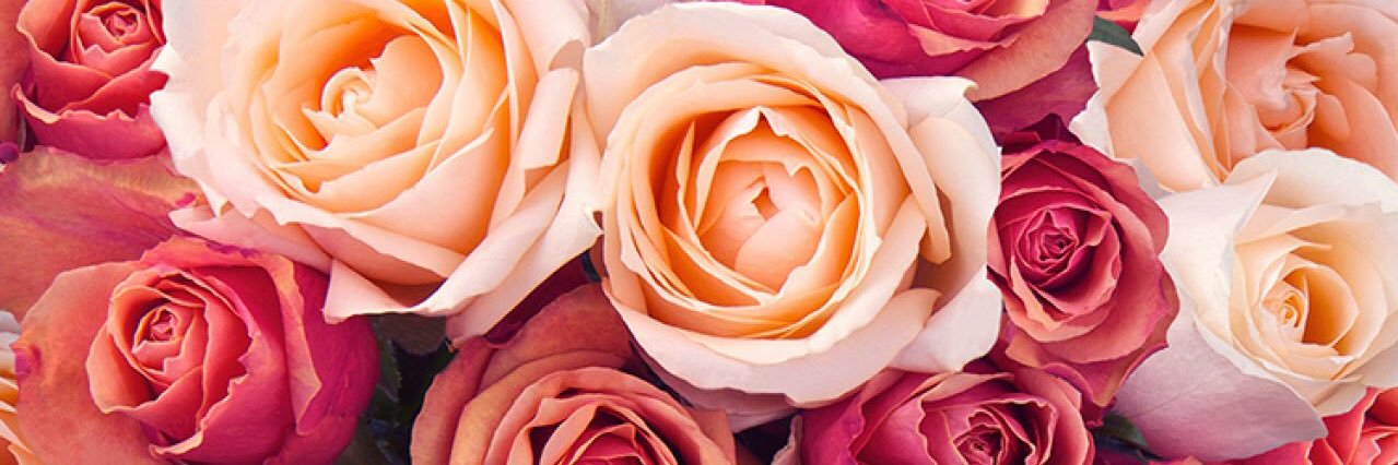 Laura_Berthout's profile banner image