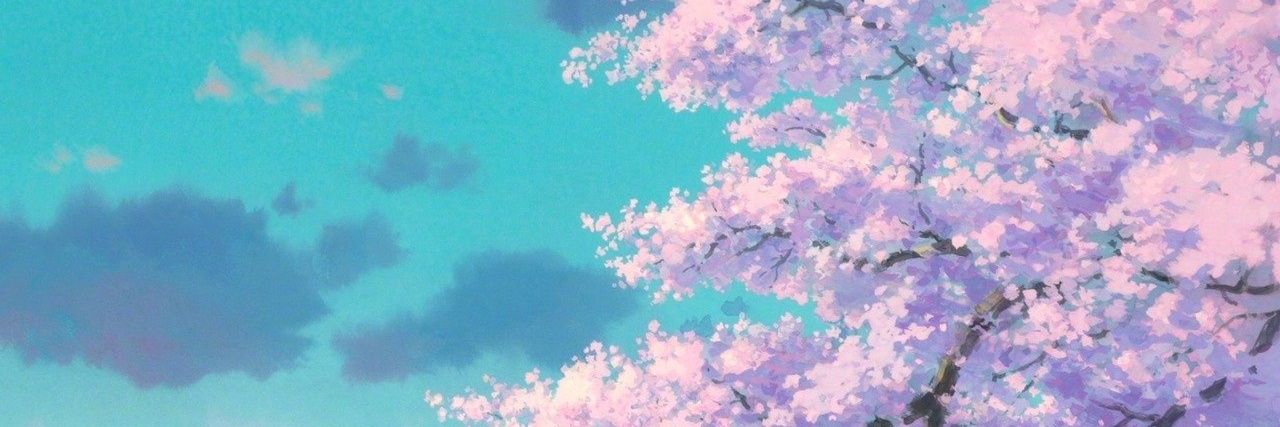 ardilla__core's profile banner image