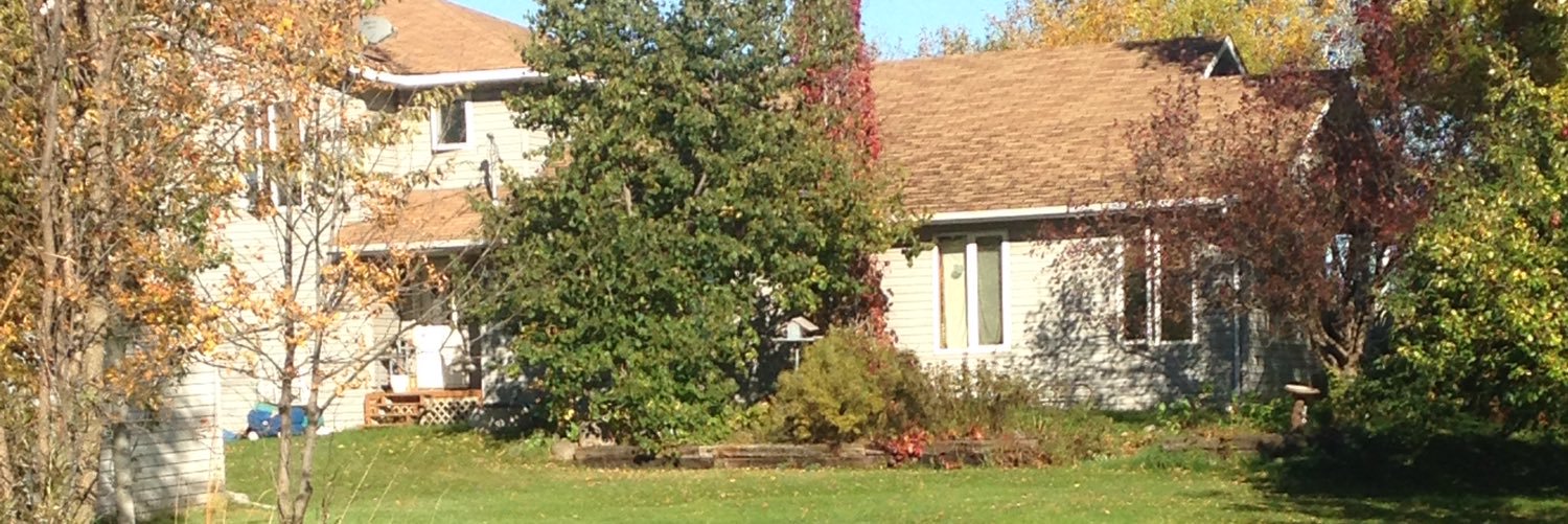 ColleenRintoul's profile banner image